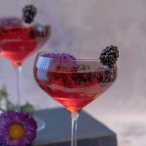 BRAMBLE GIN IN A COCKTAIL GLASS